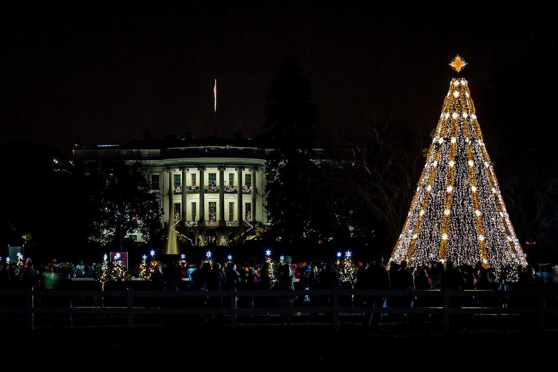 Free Holiday Activities in DC – Theogony